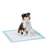 Amazon Basics Almohadillas de adiestramiento de perros y cachorros, muy resistentes, a prueba de fugas con superficie de secado rápido, regular, 50 unidades