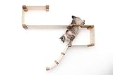 catastrophicreations Deluxe Cat Playplace – Gato de hamaca – Centro de Actividad de escalada mano montado en pared árbol de gato
