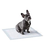 Amazon Basics Almohadillas de adiestramiento de perros y cachorros, diseño de 5 capas a prueba de fugas con superficie de secado rápido, regular, 50 unidades