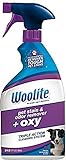 Woolite Pet mancha y olor Remover + disparador de oxígeno, 22 onzas, 0890
