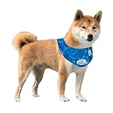 All For Paws Bandana Refrescante Chill out, Talla M