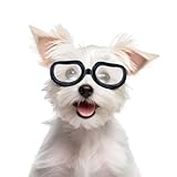 Enjoying Gafas de sol para perros de raza pequeña, protección UV, gafas para perros, resistentes al viento, antivaho, para perros pequeños, alrededor de 5 libras, transparentes