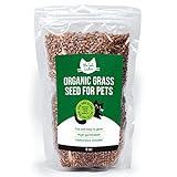 The Cat Ladies 100% Organic Seed Grass Gato (no GMO)