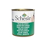 Schesir, Comida húmeda para Perros Adultos, Sabor Pollo con Espinacas, filetes en gelatina Blanda - Total 4,56 kg (16 latas x 285 gr)