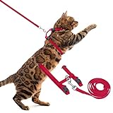 PUPTECK Arnés de gato ajustable Collar de correa de nylon con correa roja