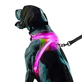 Noxgear LightHound - Arnés reflectante para perro con iluminación LED multicolor (grande)