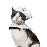 Namsan Cat Costume Dog Costume Sailor Hat Navy Tie by Namsan