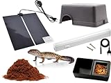ReptilHábitat - Kit Completo para Gecko Leopardo Accesorios Set para terrario de Reptiles Eco