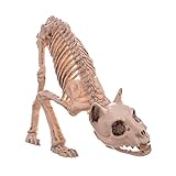 LOLAhome Esqueleto de Gato de Halloween Beige de 19x48x14 cm