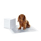 Amazon Basics Almohadillas de adiestramiento de perros y cachorros, carbón para control de olor, a prueba de fugas con superficie de secado rápido, Normal (40 unidades), Gris