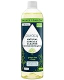 Puracy Natural Multi-Surface Cleaner Concentrate - The BEST Streak-Free All Purpose Cleaner - Makes 1 Gallon - Green Tea & Lime - 16 Ounce Bottle