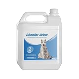 RcOcio Spray Neutralizador Enzimatico de Olores para orina, heces o vómitos de Perros y Gatos/eliminador de Malos olores producido por el Pipi de Las Mascotas para Interior y Exterior (5 litros)
