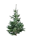 Mundo Eterno Árbol de Navidad Natural 175-200cm