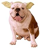 Rubie'S Star Wars Classic Yoda - Tocado para Perro, tamaño Mediano/Grande