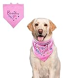 BINGPET Bandana para perro (tamaño pequeño, mediano y grande), color rosa