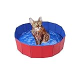 Piscina plegable para perros, piscina para perros, PVC respetuoso con el medio ambiente, antideslizante, con válvula de drenaje, piscina de verano, piscina para perros y gatos (50 x 8 cm)