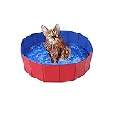 Piscina plegable para perros, piscina para perros, PVC respetuoso con el medio ambiente, antideslizante, con válvula de drenaje, piscina de verano, piscina para perros y gatos (50 x 8 cm)