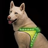 Blazin' Arnés de seguridad LED para perro | 8 colores más 6 modos intermitentes chaleco de luz reflectante | recargable por USB, resistente a la lluvia, ligero, tamaño ajustable, hasta 15 horas de funcionamiento