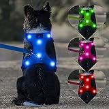 Domi Arnés de perro LED recargable por USB, arnés reflectante sin tirones, chaleco suave acolchado ajustable para perros pequeños, medianos y grandes (S, azul)