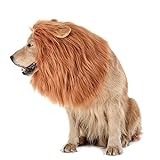 TOMSENN - Peluca de león para Perro, Realista y Divertida para Perros con león de león para Disfraz de Perro – Peluca de león para Perros de tamaño Mediano a Grande
