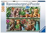 Ravensburger Puzzle, Gatos en la Estantería, 500 Piezas, Puzzle Adultos, 14824 0