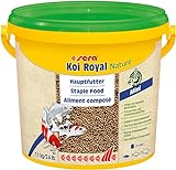 Sera - Alimento Completo Koi Royal Mini (2 mm) para el Desarrollo óptimo de Peces Koi hasta 12 cm, con prebióticos, Menor Carga de Agua y Menos Algas