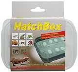 Lucky Reptile HB-01 HatchBox
