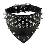 Didog - Collar de Piel para Perro de 5 cm de Ancho, Estilo Bandana, para Razas Medianas y Grandes