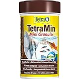 Tetra TetraMin Mini Granules - Alimento para peces en forma de minigránulos finos paralos peces ornamentales más pequeños de agua dulce, lata de 100 ml
