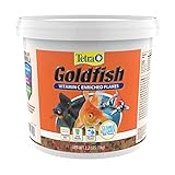 Tetra Goldfish Escamas Cubo de 2 Libras, Dieta equilibrada nutricionalmente para los Peces de Acuario