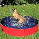 lionto Piscina Plegable de PVC para Perros Bañera para Perros Piscina para Mascotas Bañera Plegable para Perros, (L) 160 cm Ø Altura 30 cm Azul/Rojo