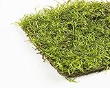 crystalwort (Riccia Fluitans) vivir flotante o alfombras plantas