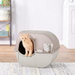 Mejores areneros autolimpiables para gatos
