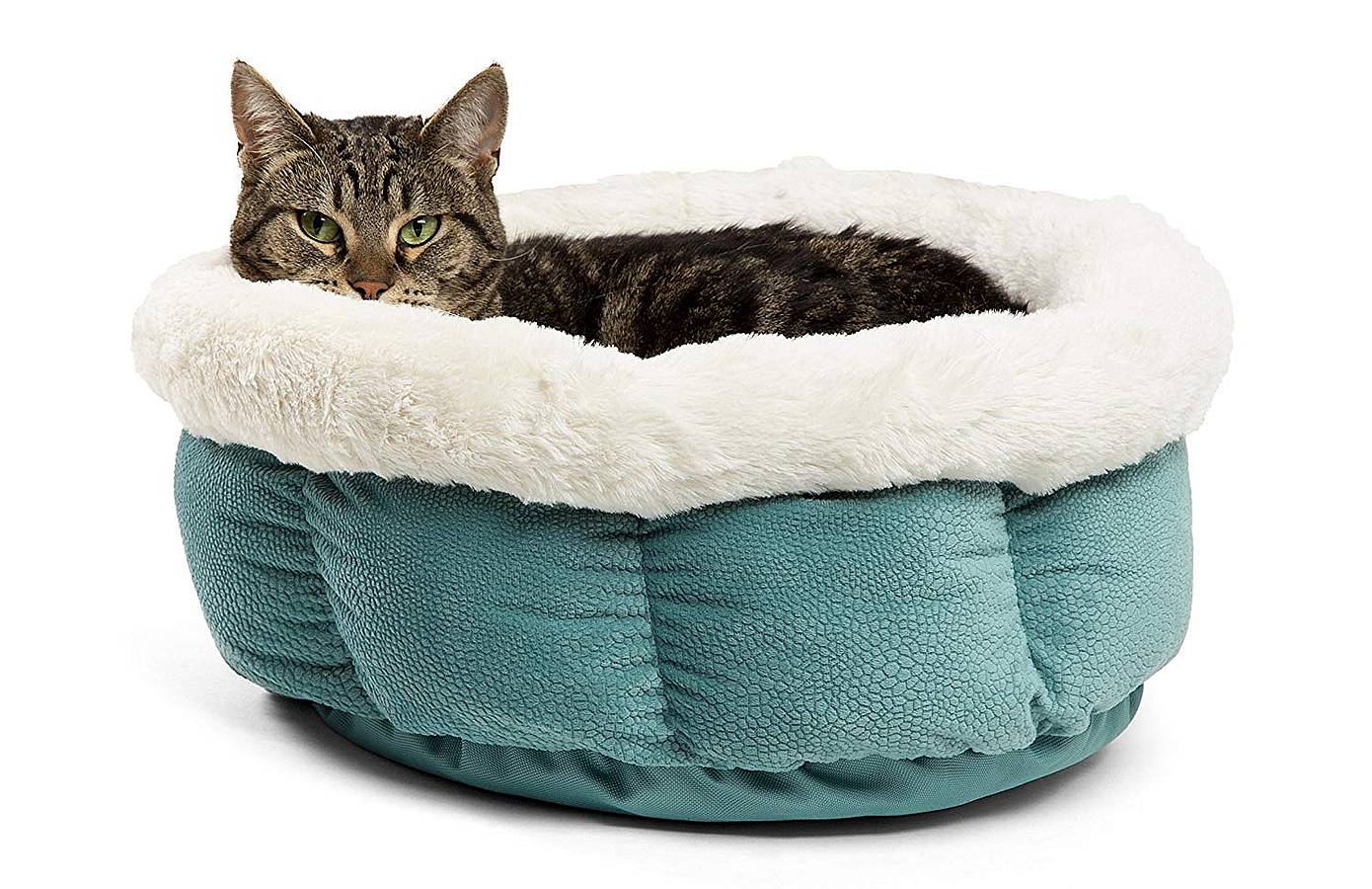 Mejores camas para gatos