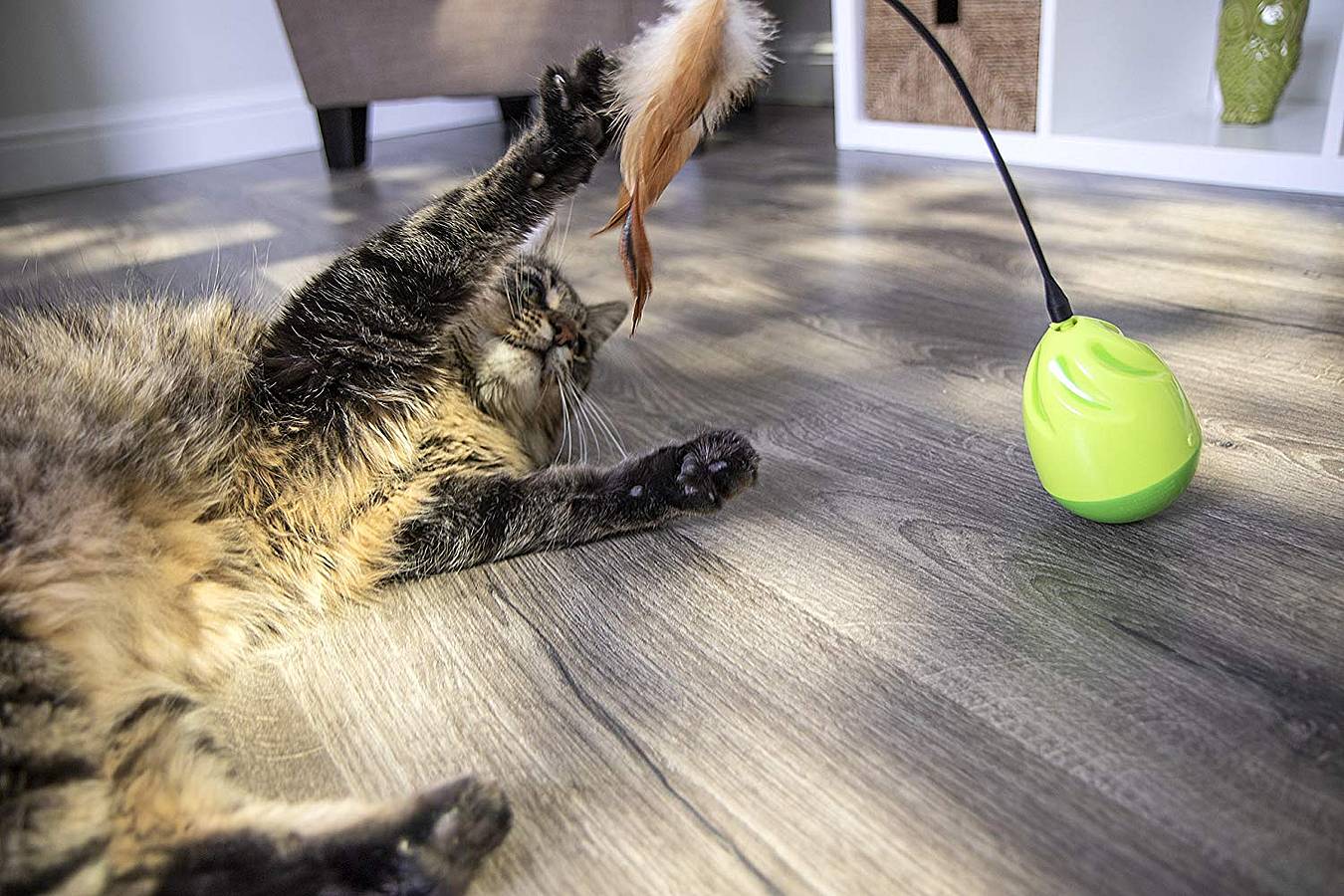 Mejores juguetes interactivos para gatos