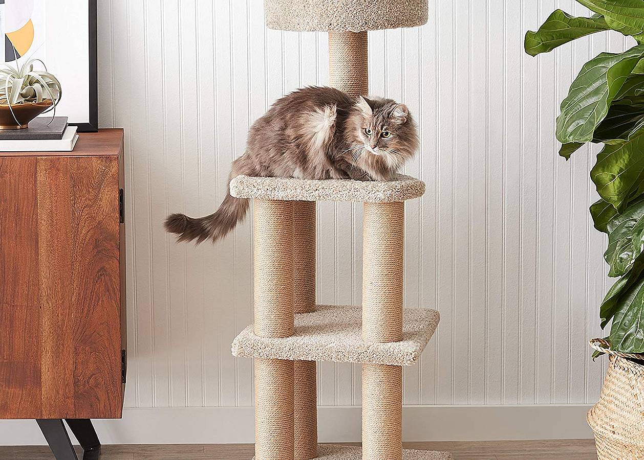 Mejores postes rascadores para gatos de 2019 (análisis) 1
