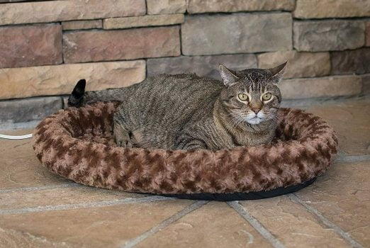 Mejores camas térmicas para gatos