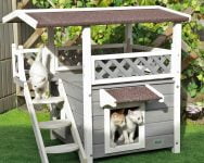 Mejores casas para gatos