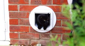 Mejores gateras - puertas para gato