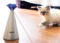 Mejores punteros láser para gatos