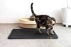 Las mejores alfombras para gatos del 2026 (Guía y análisis)