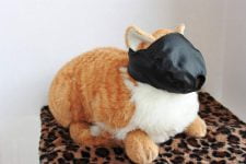 Los mejores bozales para gatos