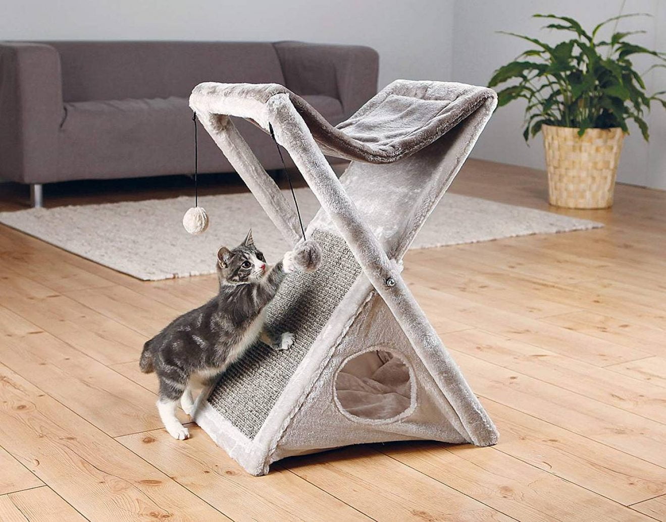 Mejores Hamacas Para Gatos De 2024 (Análisis Y Consejos)