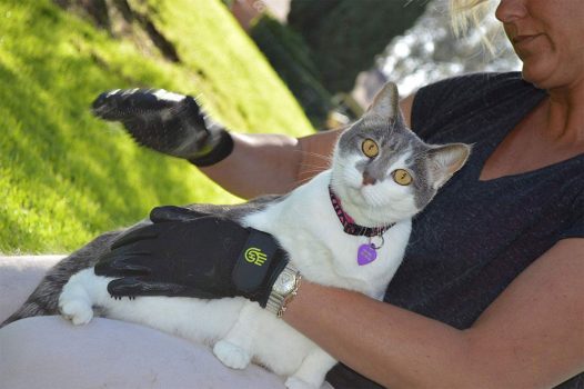 Los mejores guantes para cepillar gatos