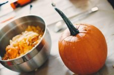 ¿La calabaza es buena para los gatos?