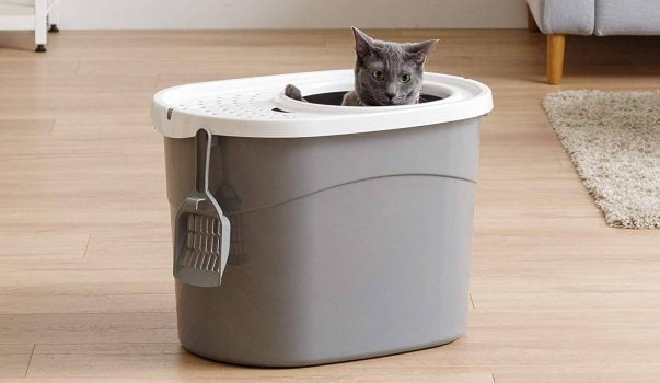 Caja de arena para gatos higiénica con entrada superior de IRIS