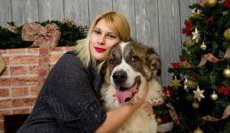 ¿Sabes cómo montar un árbol de navidad a prueba de perros?