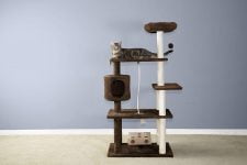 Mejores árboles para gatos - guía