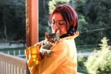 ¿Qué piensan los gatos de los humanos?
