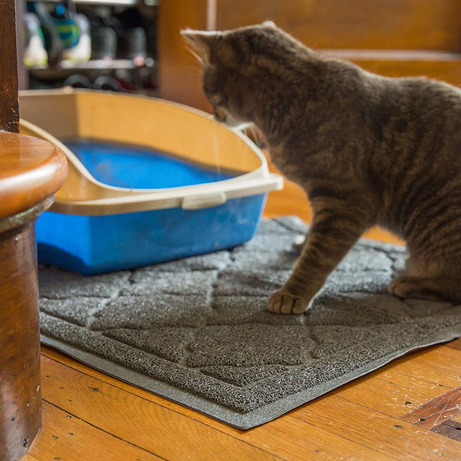 Higiénica alfombra para gatos de Easyology